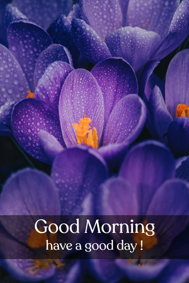Very Good Morning Wishes Images 
