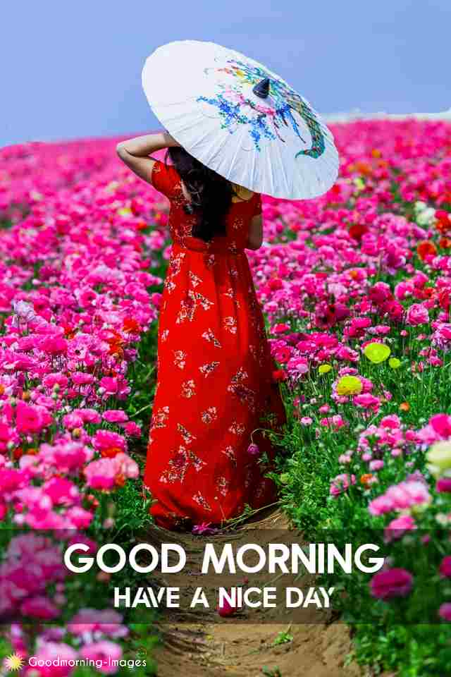New Good Morning Lovely Pictures