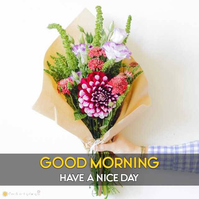 Good Morning Wishes Pictures
