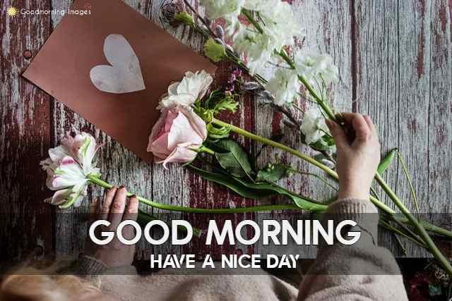 Good Morning Wishes Pictures
