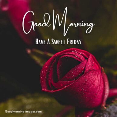 ᐅ100+ Good Morning Friday Images, Photos, Pictures