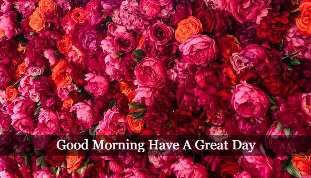 Good Morning Flowers Wishes