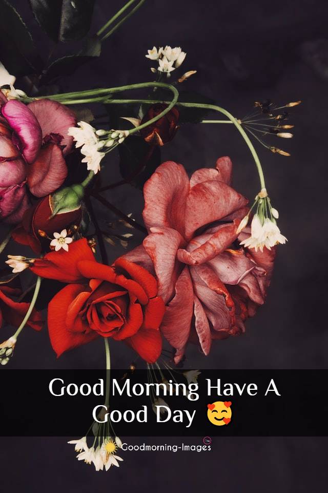 Good Morning HD Flowers Images