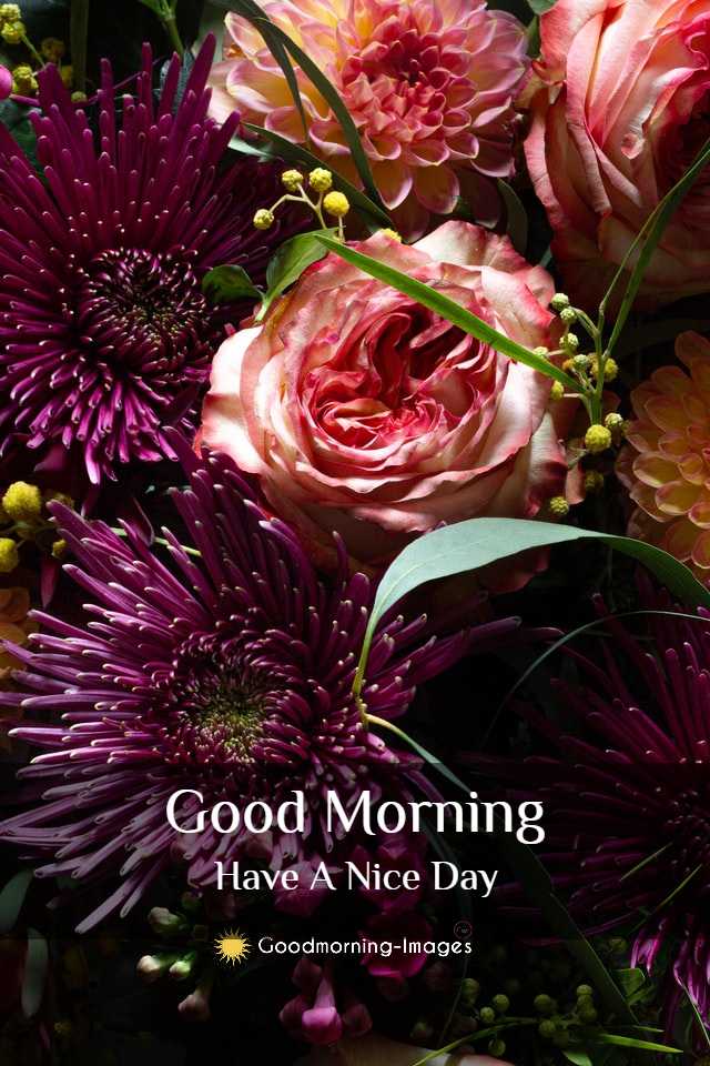 Good Morning Flowers Images HD
