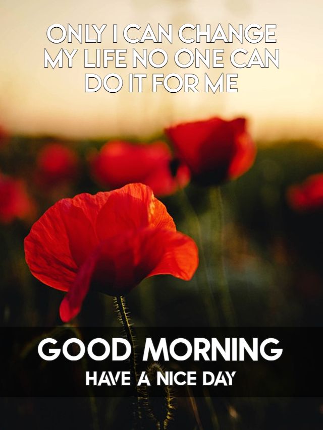 Good Morning HD Quotes Pictures