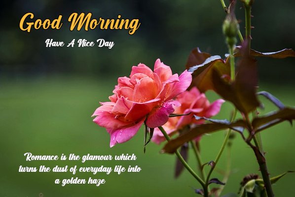 Good Morning Images HD