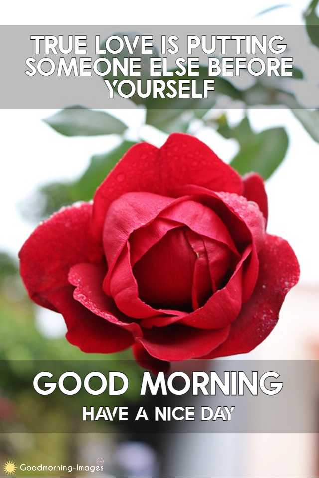 Morning Flower Images with quotes