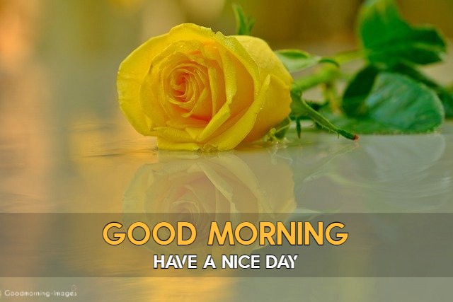 Good Morning Images HD