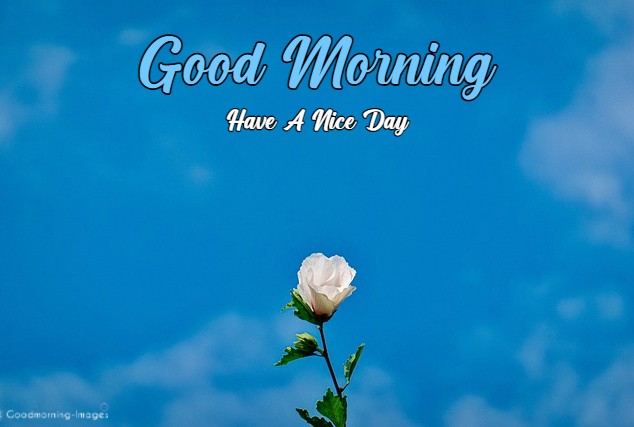 Good Morning HD Images