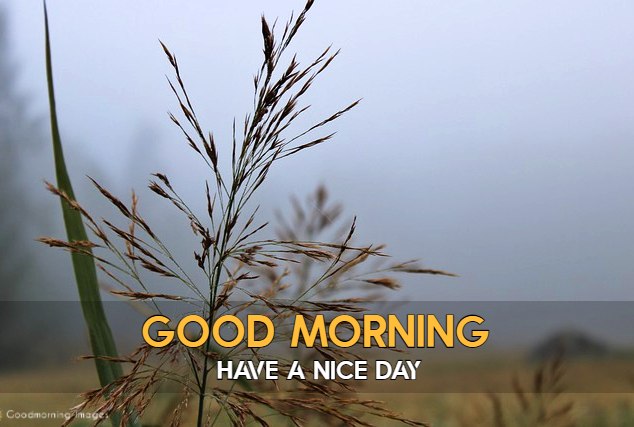 Good Morning HD Images