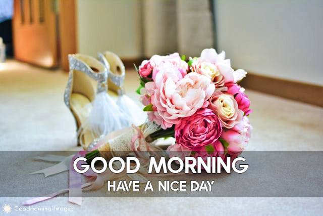 Good Morning Flowers Pictures