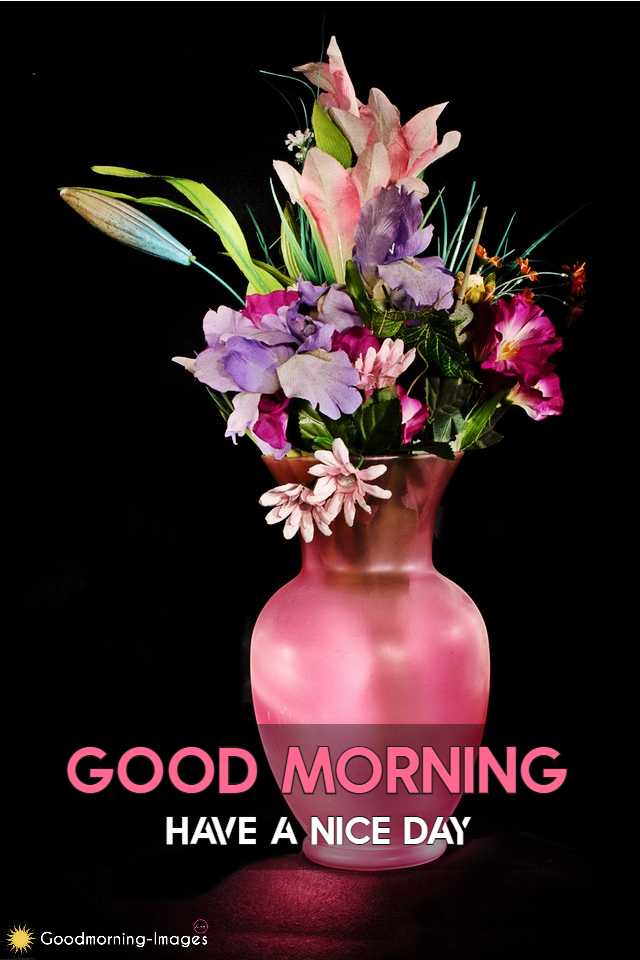Good Morning Flower DP