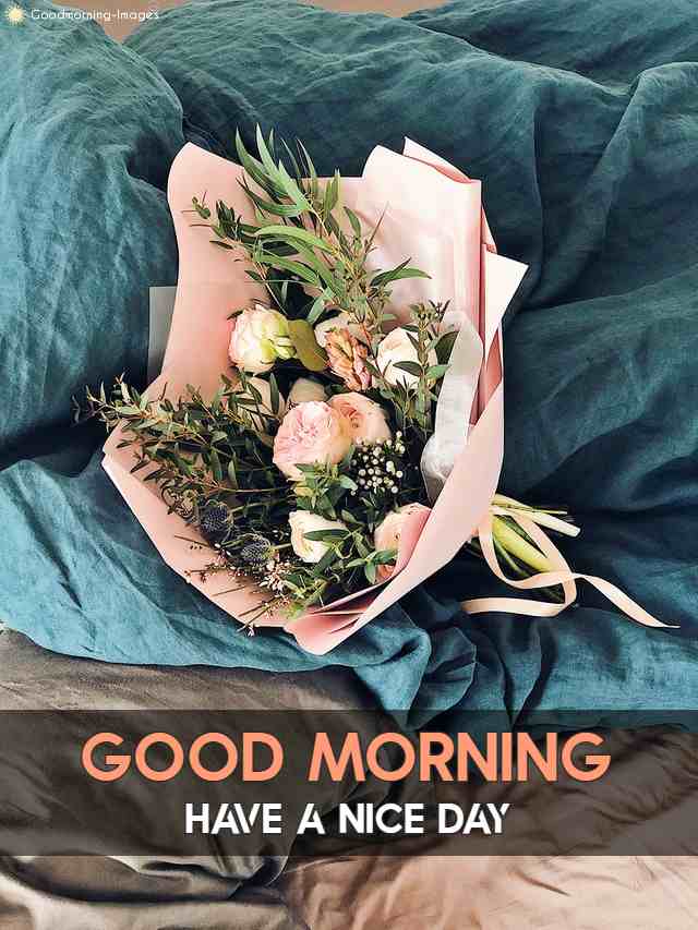 Good Morning Flower Wishes HD Images