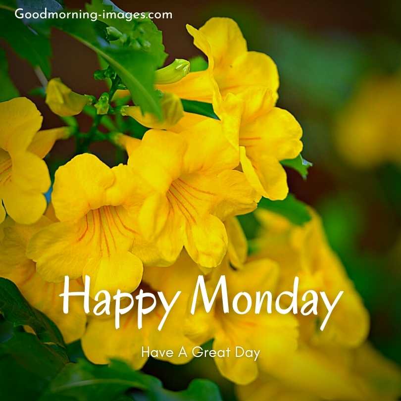 Happy Monday Images
