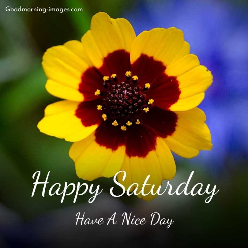Happy Saturday HD Pictures