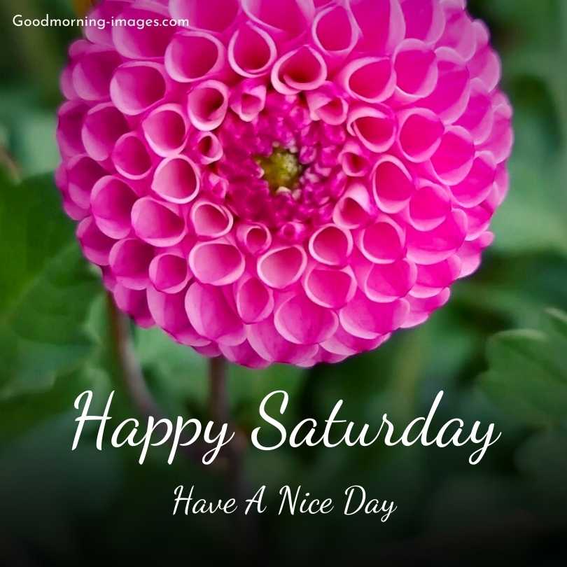 Happy Saturday HD Pictures