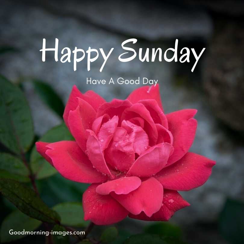 Happy Sunday HD Pictures