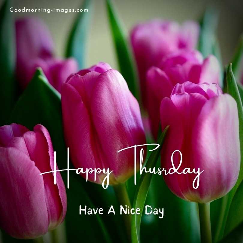 Happy Thursday HD Pictures