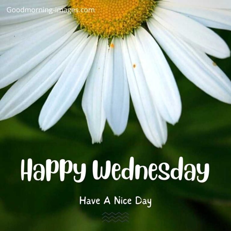 ᐅ100+ Happy Wednesday Images, Pictures & Photos