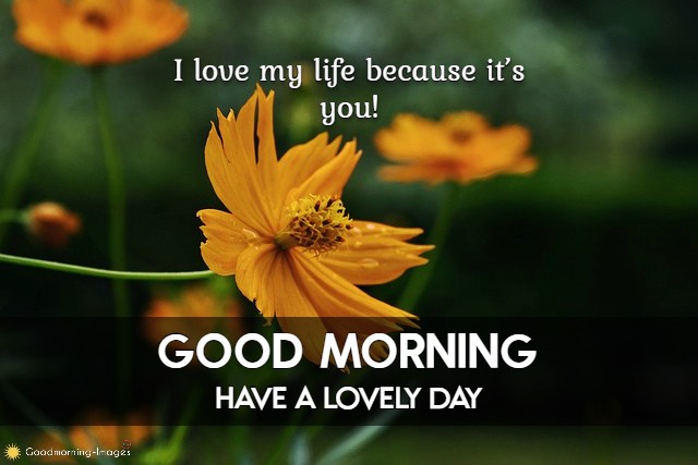 Good Morning My Love Wishes Images
