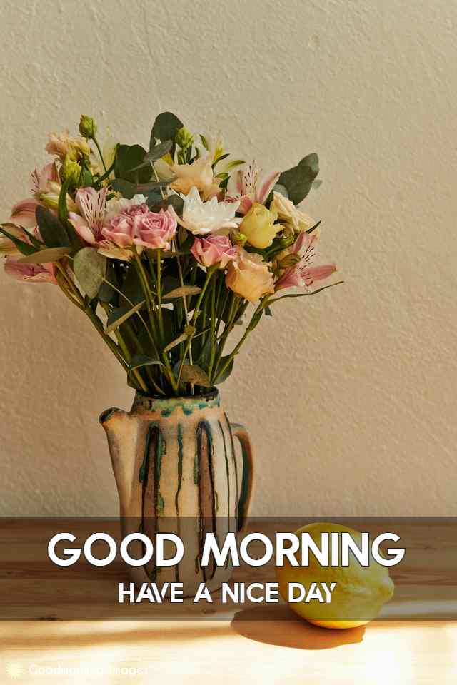 Good Morning 4k HD Images Download