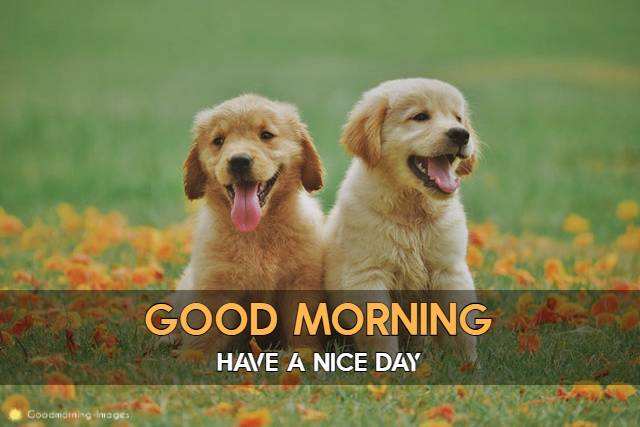 Good Morning 1080p HD Images Download