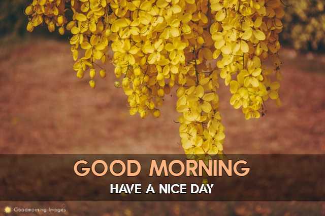 Good Morning 1080p HD Images Download