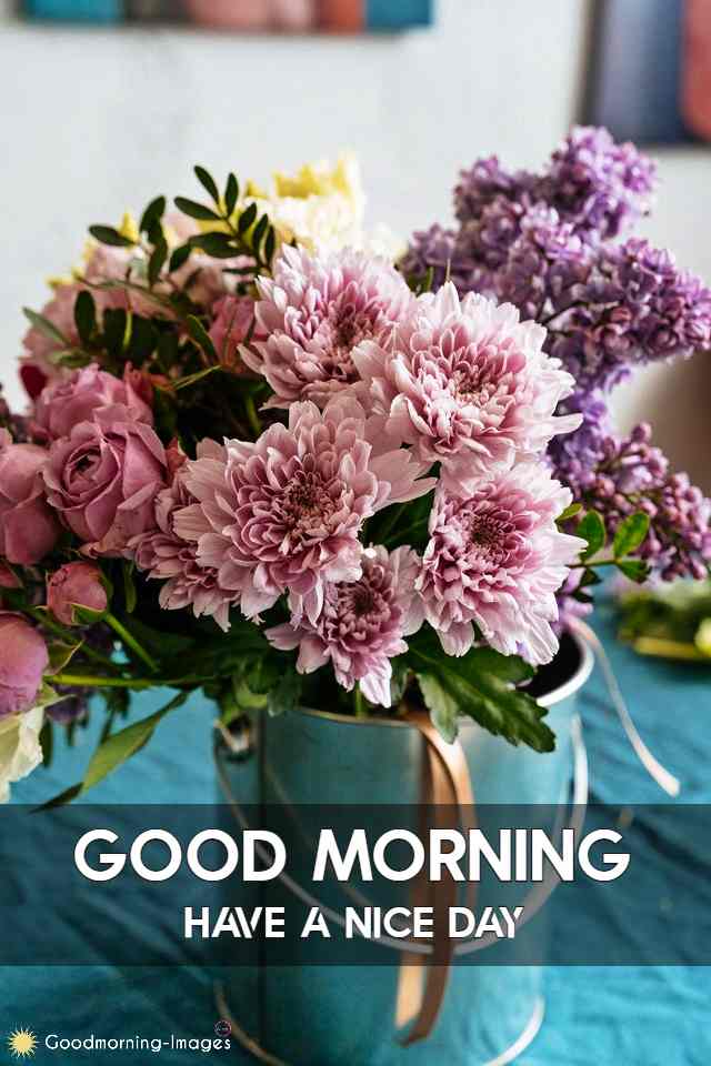 Good Morning HD Special Images