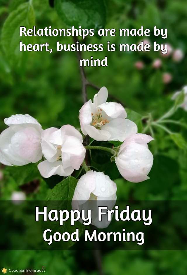 Good Morning Friday HD Pictures Quotes