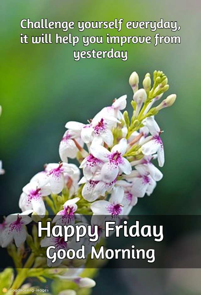 Good Morning Friday HD Pictures