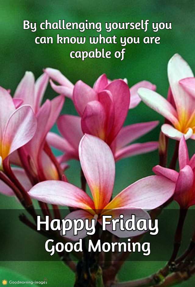Good Morning Friday HD Quotes Pictures 