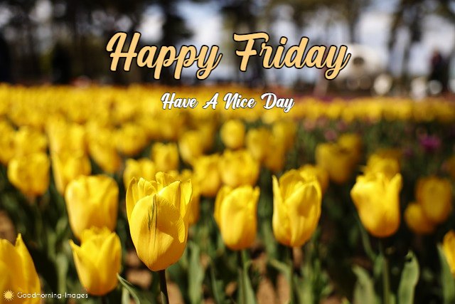 Happy Friday Images Download