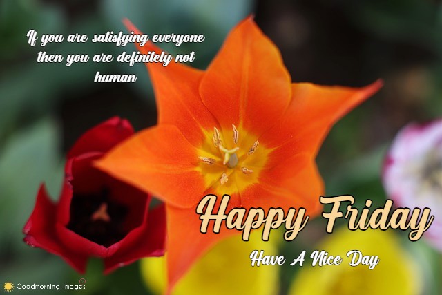 Happy Friday HD Quotes Images