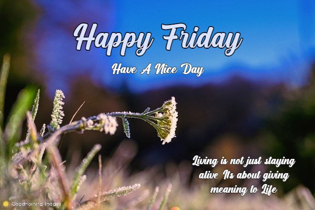 Happy Friday HD Images