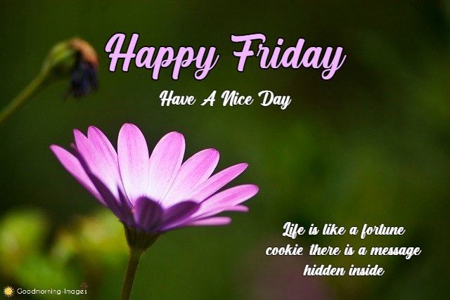 Happy Friday HD Wishes Images