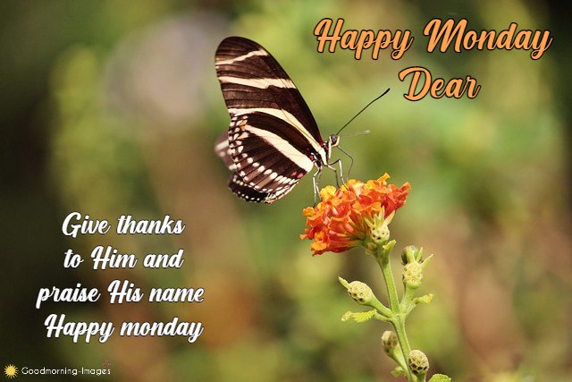 Happy Monday Images Wishes