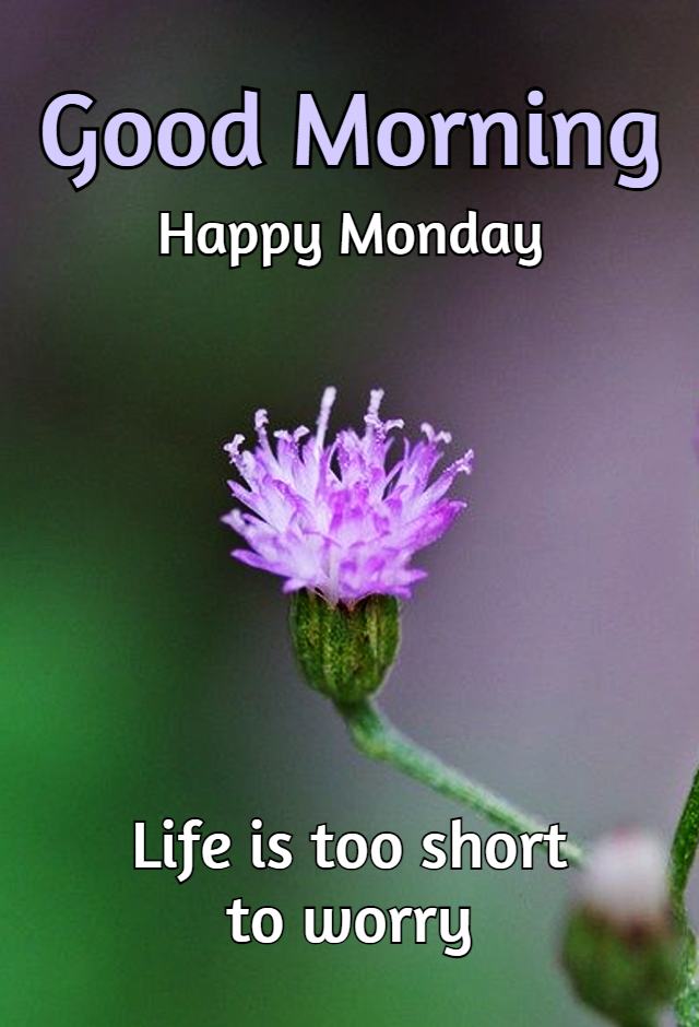 Good Morning Monday Images