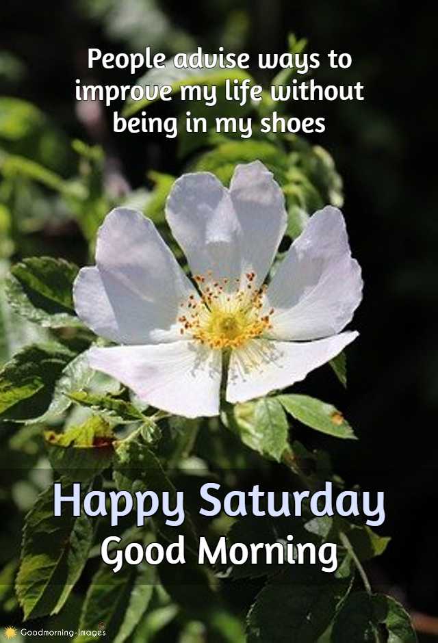 Good Morning Saturday Images Wishes