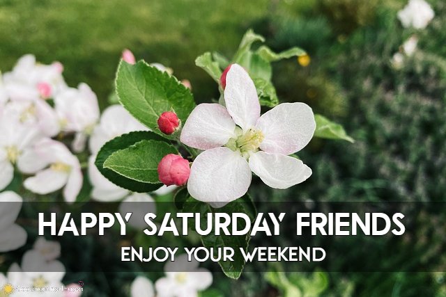 Happy Saturday Images For Whatsapp