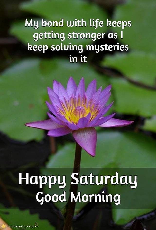 Happy Saturday Wishes Images