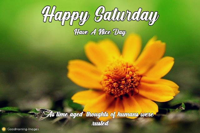 Good Morning Saturday Wishes Pictures
