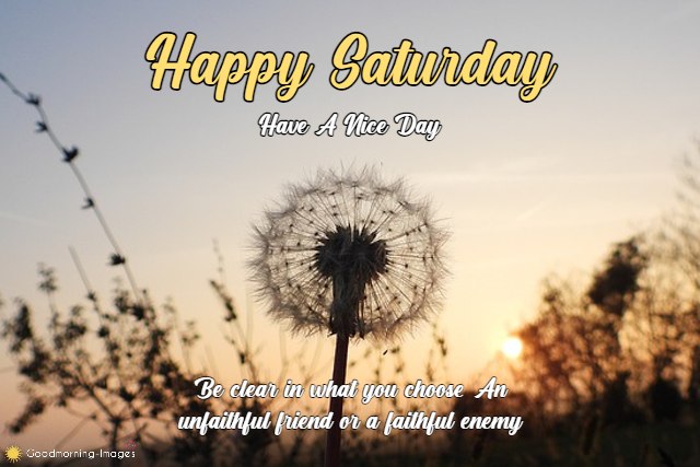Happy Saturday Wishes Pictures