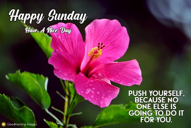 Happy Sunday Images Free Download