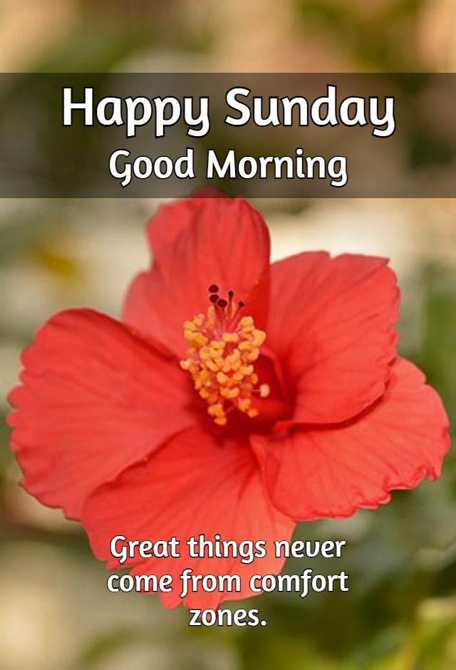 Happy Sunday Images Download