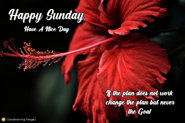 Happy Sunday Images Free Download