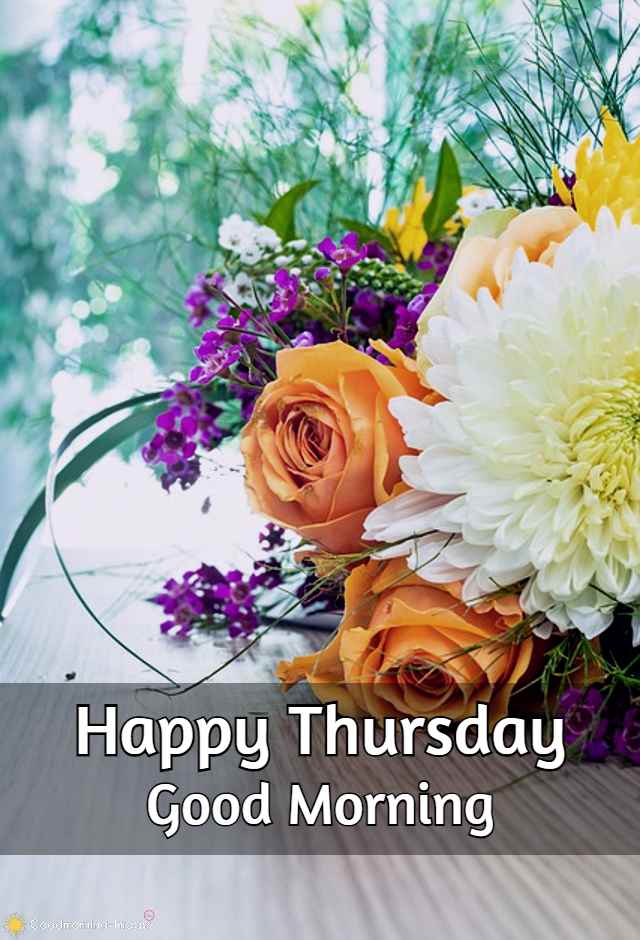 Good Morning Thursday Pictures