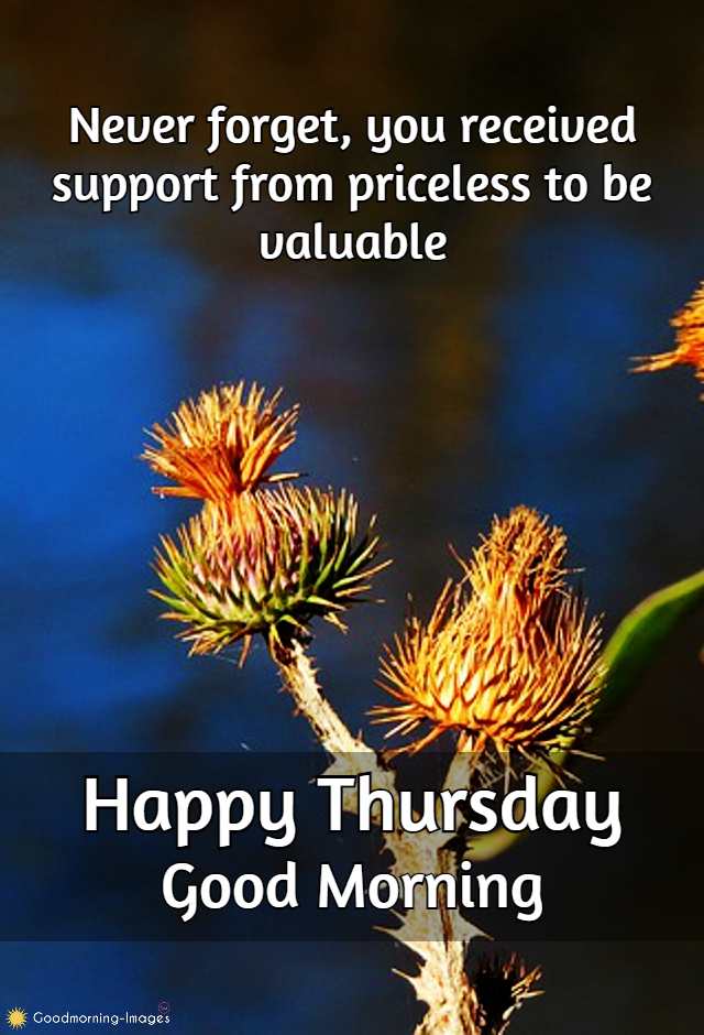 Happy Thursday Pictures