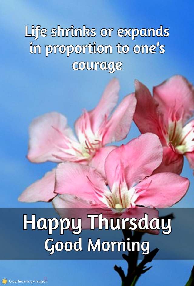 Good Morning Thursday Quotes Images
