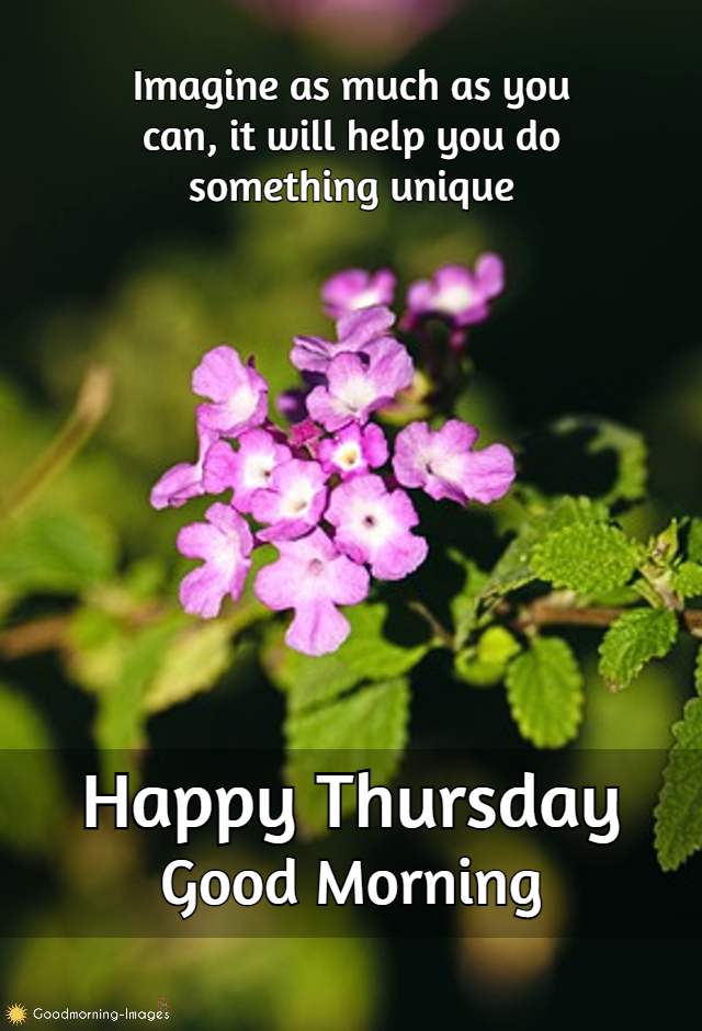 Good Morning Thursday Wishes Images