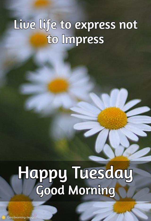 Good Morning Tuesday Images